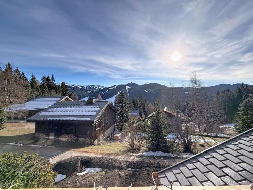 Chalet meleze - Les Gets - La Massouderie