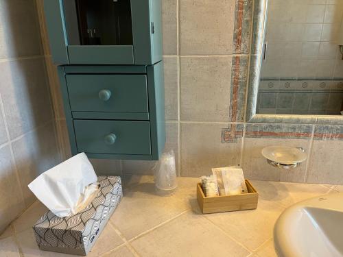 a bathroom with a green cabinet and a sink at Casa vacanze Pierangela in Susegana