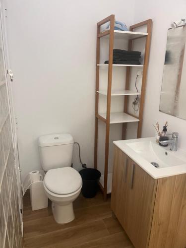 a bathroom with a toilet and a sink at Finca Rural Marmito in Sanlúcar de Barrameda