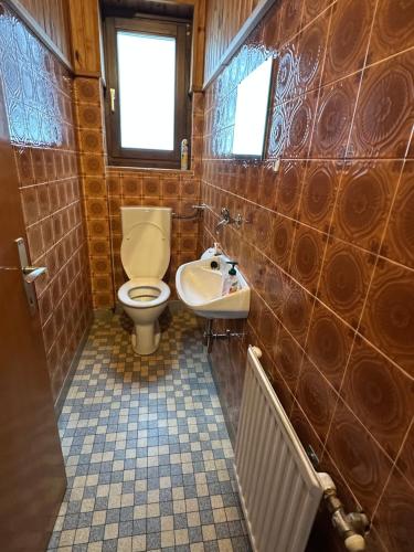 a bathroom with a toilet and a sink at Haus Ernestine in Sankt Urban