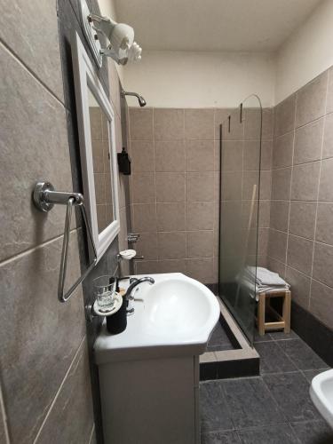 a bathroom with a sink and a shower at Bismark Studio in Marcos Juárez