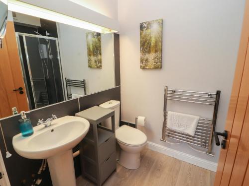 a bathroom with a sink and a toilet and a mirror at Mallard Cottage in Penrith