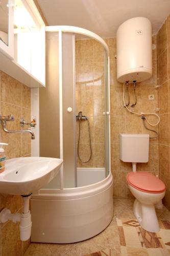 a bathroom with a shower and a toilet and a sink at Apartment Rogacic 2460b in Vis