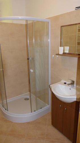 a bathroom with a shower and a sink at Penzion Pod Jáchymem in Dobrá Voda