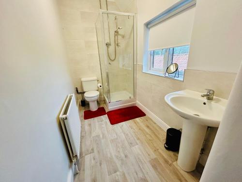 a bathroom with a sink and a toilet and a shower at Rural boutique private flat in Bedford