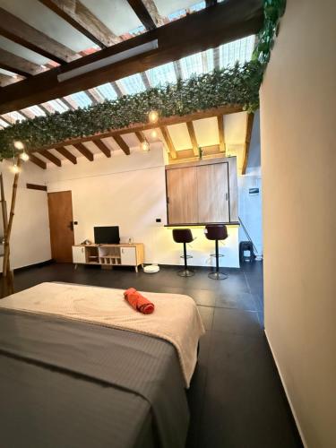a room with a bed and a projection screen at Apartamento tipo loft in Guarne
