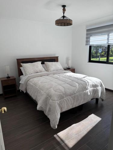 a bedroom with a large bed and a window at Termas Del Vino 2 in Palmilla Abajo
