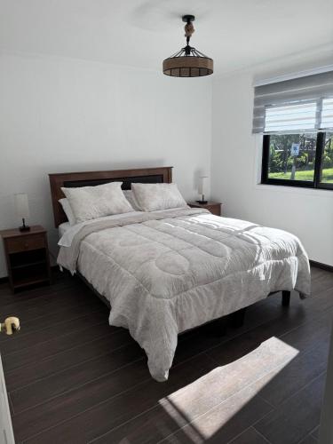 a bedroom with a large bed and a window at Termas del Vino 3 in Palmilla Abajo