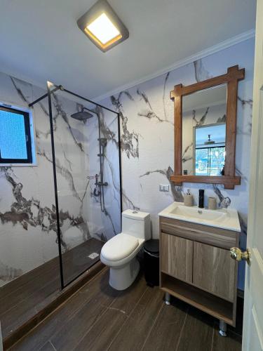 a bathroom with a shower and a toilet and a sink at Termas del Vino 3 in Palmilla Abajo