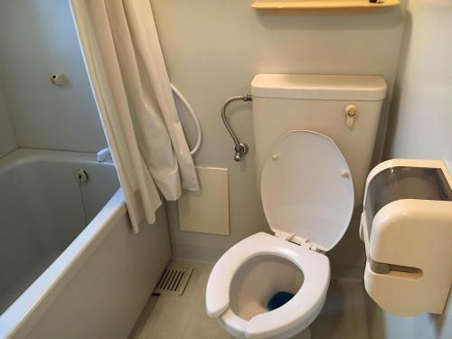 Vonios kambarys apgyvendinimo įstaigoje Jemsty Inn Hakone Ashinoko