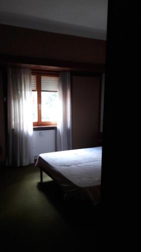 ペスカッセーロリにあるAppartmento I Piniのベッドルーム(ベッド1台、窓付)