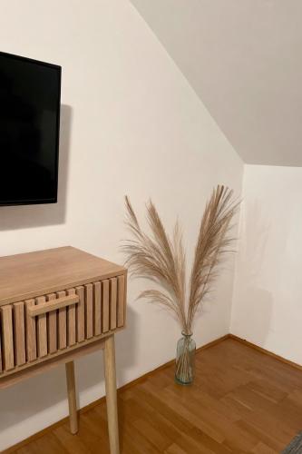 a vase with a plant in a room with a tv at Troisieme du nom in Nevers
