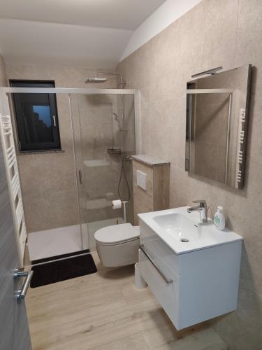 a bathroom with a shower and a sink and a toilet at Villa Germini in Polje Čepić