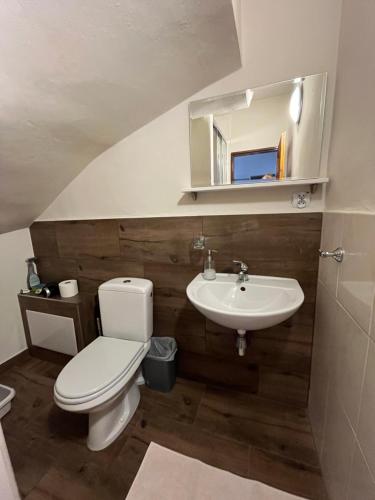 a bathroom with a toilet and a sink at Privát Kováč in Tatranská Lomnica