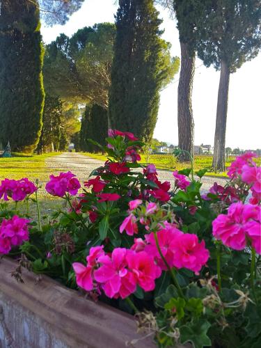 Morami Wine Agriturismoにある庭
