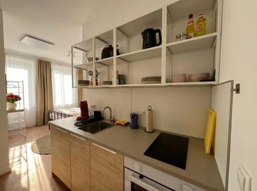 2 Rooms, 2 TVs, full Kitchen - T25