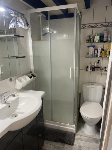 a bathroom with a shower and a toilet and a sink at Petite Maison Cocooning in Leucate-Plage