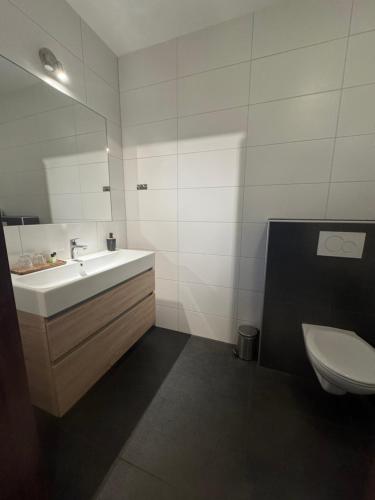 a bathroom with a sink and a toilet at Jaegershoes in Belfeld