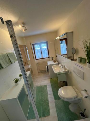 a bathroom with a toilet and a sink and a shower at Ferienwohnung Heidi mit Oberstaufen PLUS in Oberstaufen