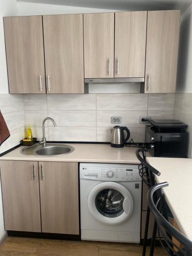 a kitchen with a washing machine and a sink at Студія в центрі міста , 7 поверх без ліфту in Ivano-Frankivsk