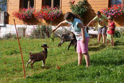 a group of children playing with two goats in a yard at Pension Stammerhof in Schladming