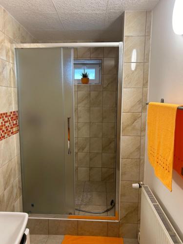 a shower with a glass door in a bathroom at Ubytování Rozsochy in Rozsochy