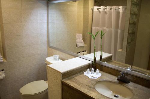 a bathroom with a sink and a toilet and a mirror at Hotel Sicomoro in Chihuahua