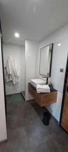 a bathroom with a sink and a mirror at La Bulle Enchantée in Berru