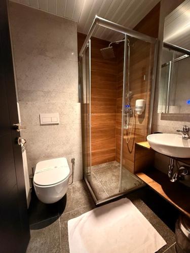 a bathroom with a shower and a toilet and a sink at LAKEVIEW Hotel & Apartments in Mavrovo