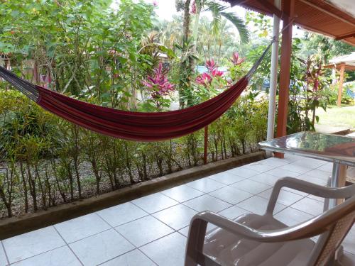 a patio area with chairs, a table, and a window at Hotel El Colibri Rojo - Cabinas - Le Colibri Rouge in Cahuita