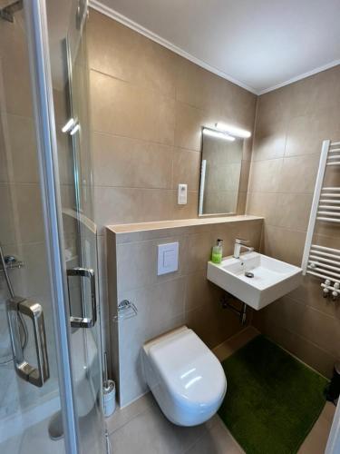 a bathroom with a toilet and a sink and a shower at Aparts4ring 10, Nürburg in Nürburg