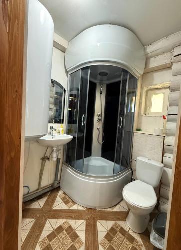 a bathroom with a shower and a toilet and a sink at Domik v gorakh in Bukovets