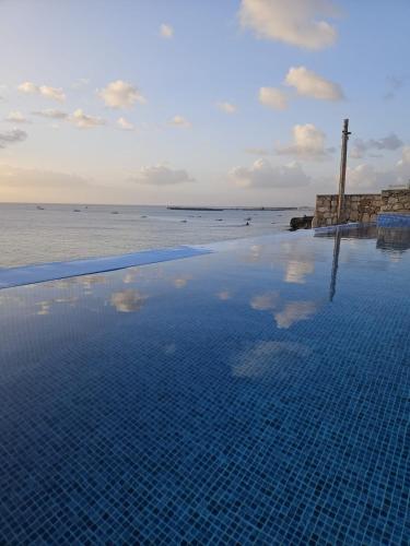 Maio Sweet Tartaruga