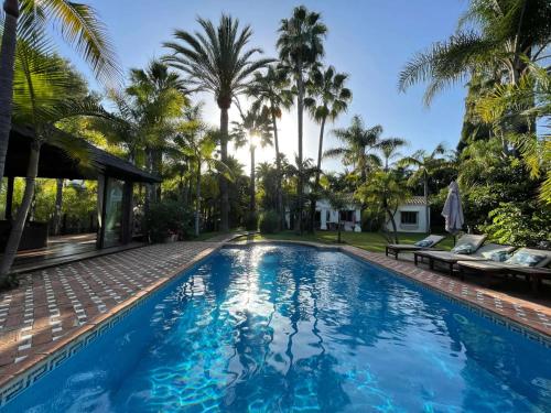 Villa in palm tree plantation, near the beach.