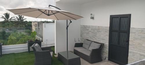 Colocasia, Maison Blanche, Pamplemousses