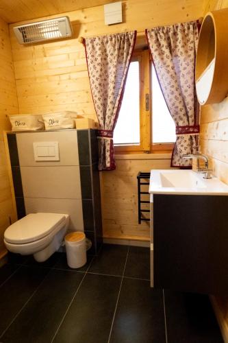 a bathroom with a toilet and a sink at Geofond Chaty in Chotěboř
