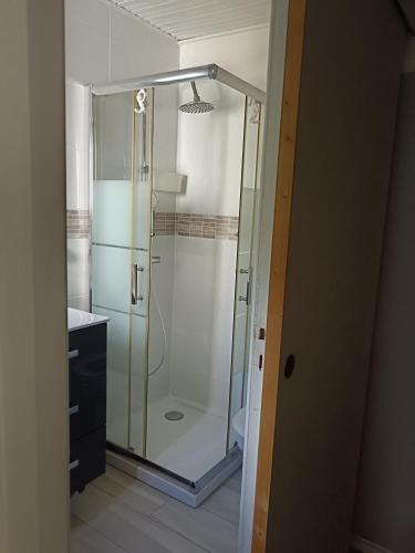 een douche met een glazen deur in een badkamer bij Chez Béa in Lumio