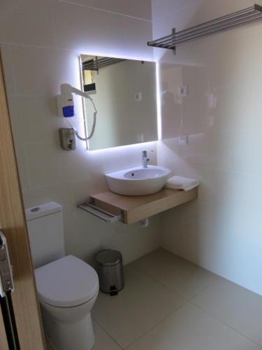 La salle de bains est pourvue d'un lavabo, de toilettes et d'un miroir. dans l'établissement Make it Happen Farm, à Urzelina