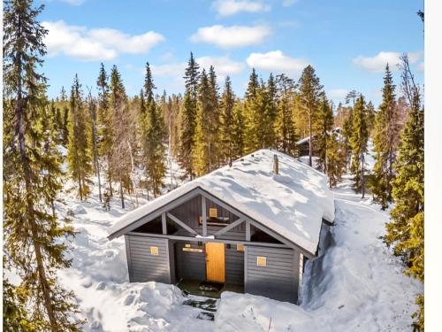 a building in the snow with trees in the background at Holiday Home Sinikuono by Interhome in Ylläsjärvi