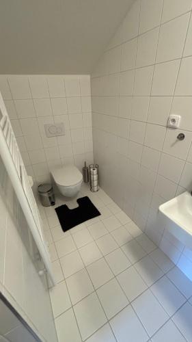 a white bathroom with a toilet and a sink at Horská chata Libín in Prachatice