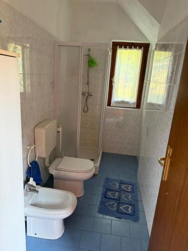 a bathroom with a toilet and a shower and a sink at Baita del Silenzio in Miazzina