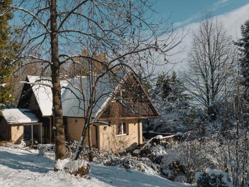Dom na Jeżynowym Wzgórzu - Blackberry Hill Cottage