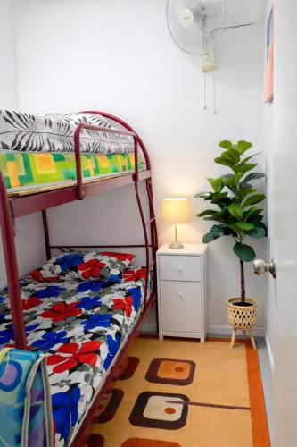 a bedroom with a bunk bed and a potted plant at Homestay Tysha in Kampong Pulau Sebang