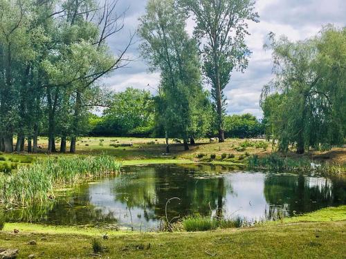 a pond in the middle of a field with trees at Cedar Lodge in Bentley