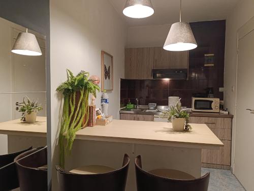 Isalos Trykonos Garden Thessaloniki - Close to Helexpo - Central Oasis with free parking