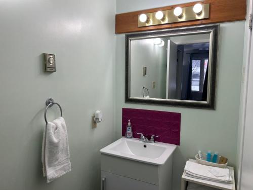 un bagno con lavandino e specchio di Mountain View Motel a Barrys Bay