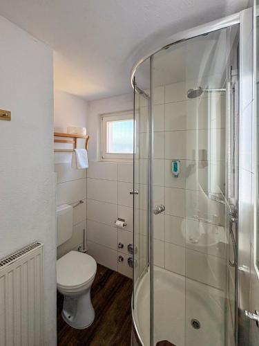 a bathroom with a toilet and a glass shower at Wohnen in der Altstadt - Wohnungen und Studio in Gundelsheim