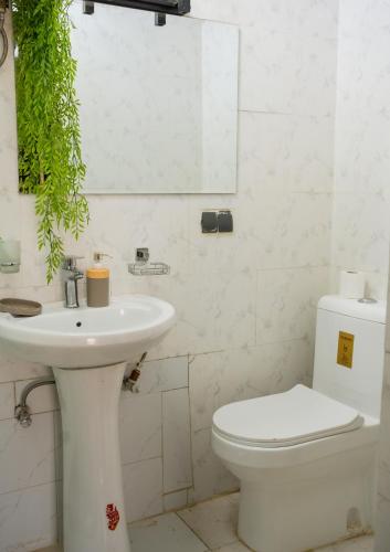 a bathroom with a white toilet and a sink at Immeuble Avenue 30 Juin - Lubumbashi in Lubumbashi