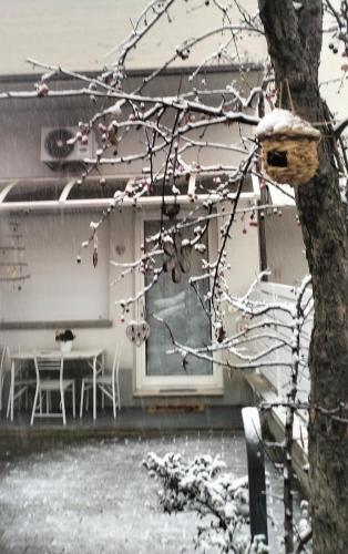 BHH BOLOGNA HOLIDAY HOME private Garden Reserved Parking -wwwbolognaholidayhomecom- house garden parking photo 18