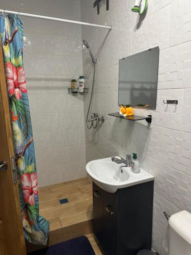 a bathroom with a sink and a shower with a mirror at SUNNY holidays in Liepāja